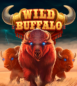 buffalo